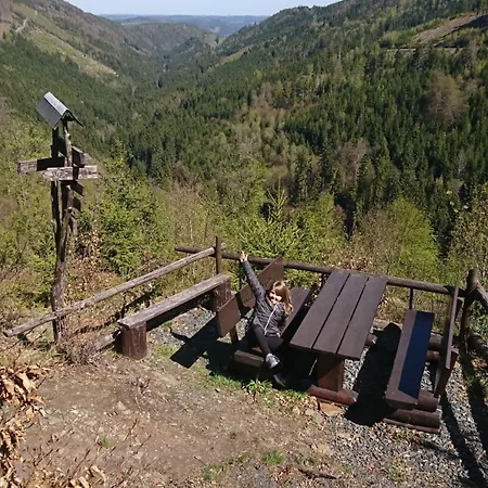 Grosse Am Rennsteig Διαμέρισμα Neuhaus am Rennweg