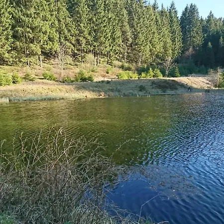 Διαμέρισμα Grosse Am Rennsteig Neuhaus am Rennweg