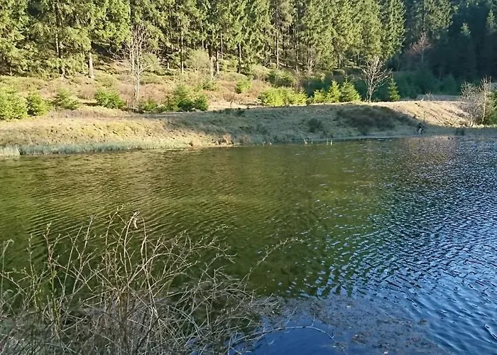 Daire Grosse Am Rennsteig Neuhaus am Rennweg