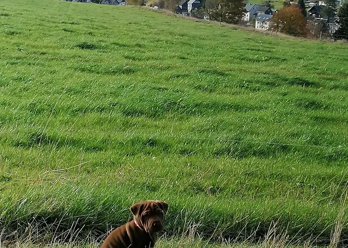 Grosse Am Rennsteig Neuhaus am Rennweg